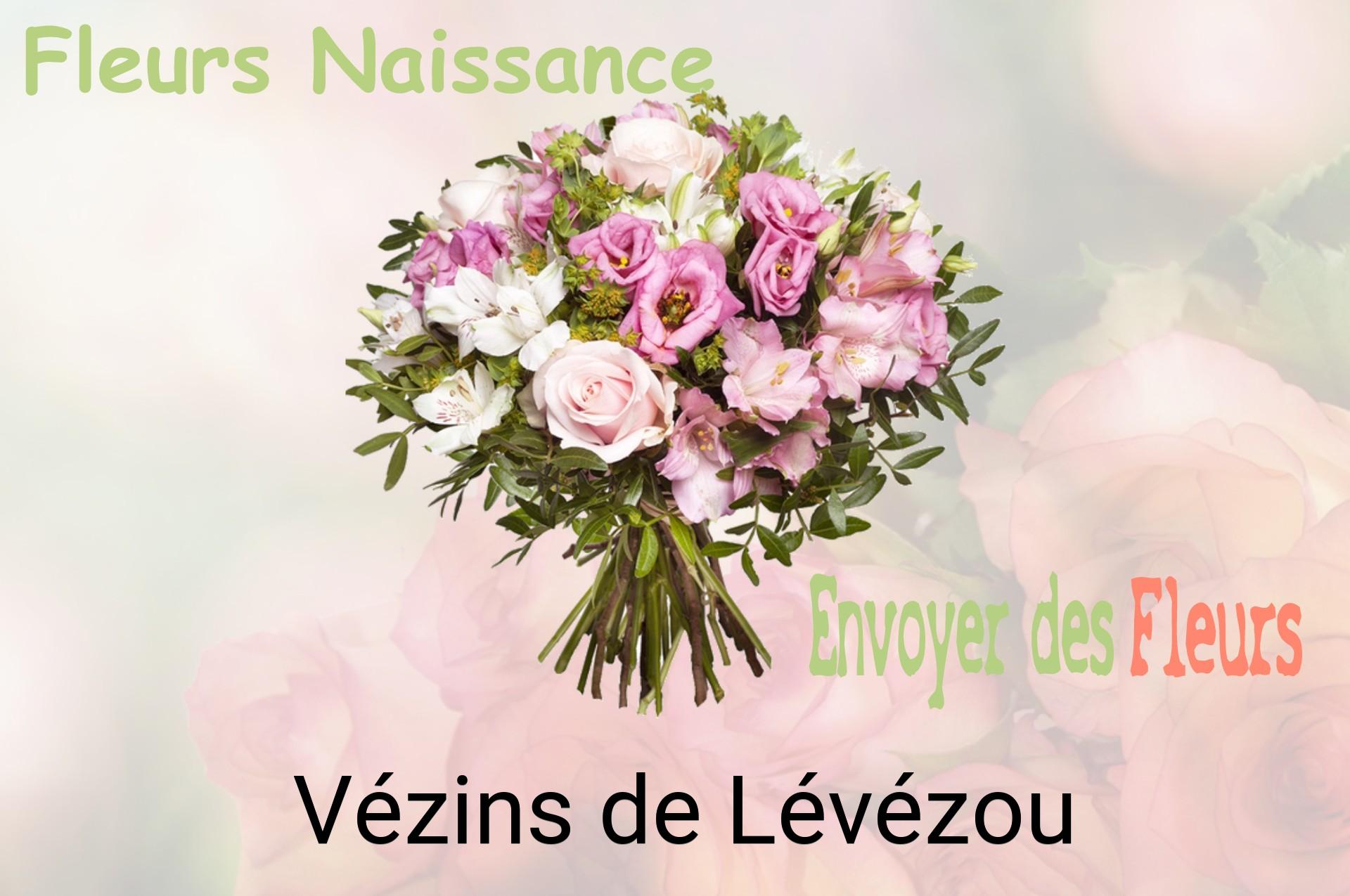 Bouquet de fleurs de naissance livré à Vézins-de-Lévézou