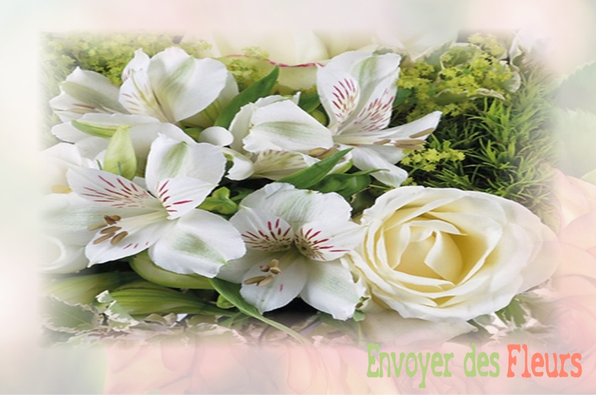 envoyer des fleurs à à VEZINS-DE-LEVEZOU