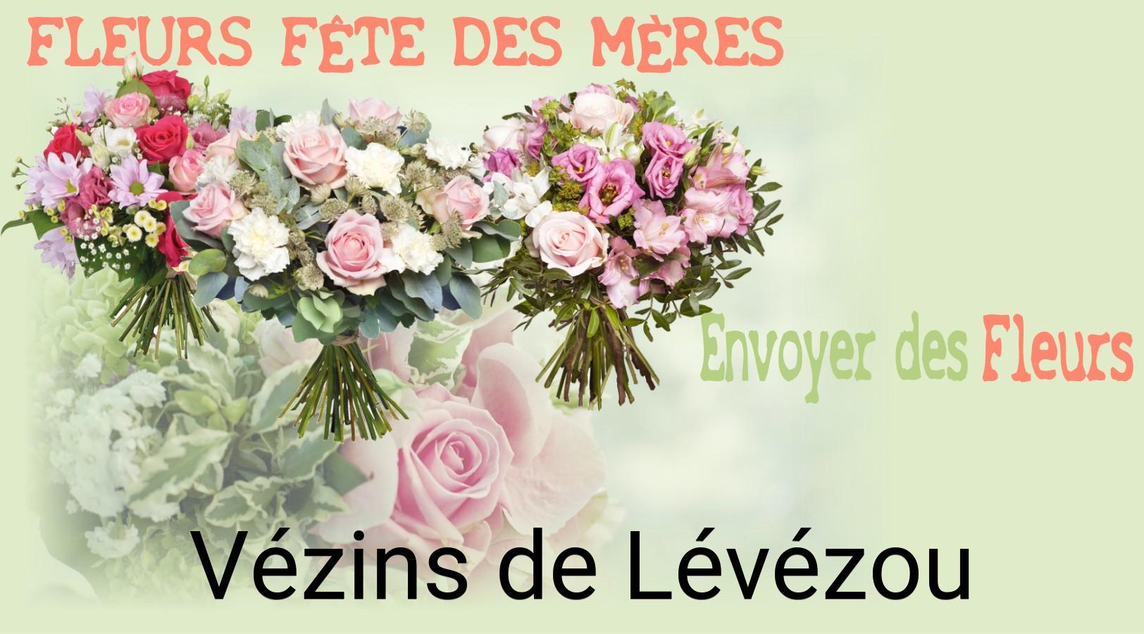 Bouquet de Fête des Mères livré à Vézins-de-Lévézou